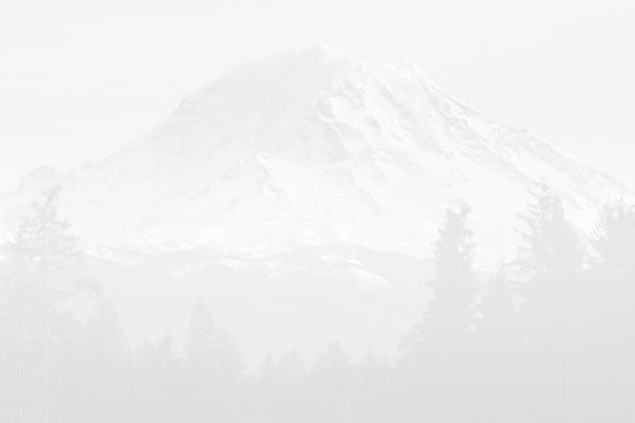 mt-rainier-bg